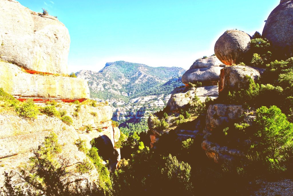 Blick in die Schlucht von Fraguerau im Naturpark Serra de Montsant