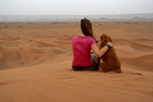 Marokko mit Hund an den Dunes de Tinfou