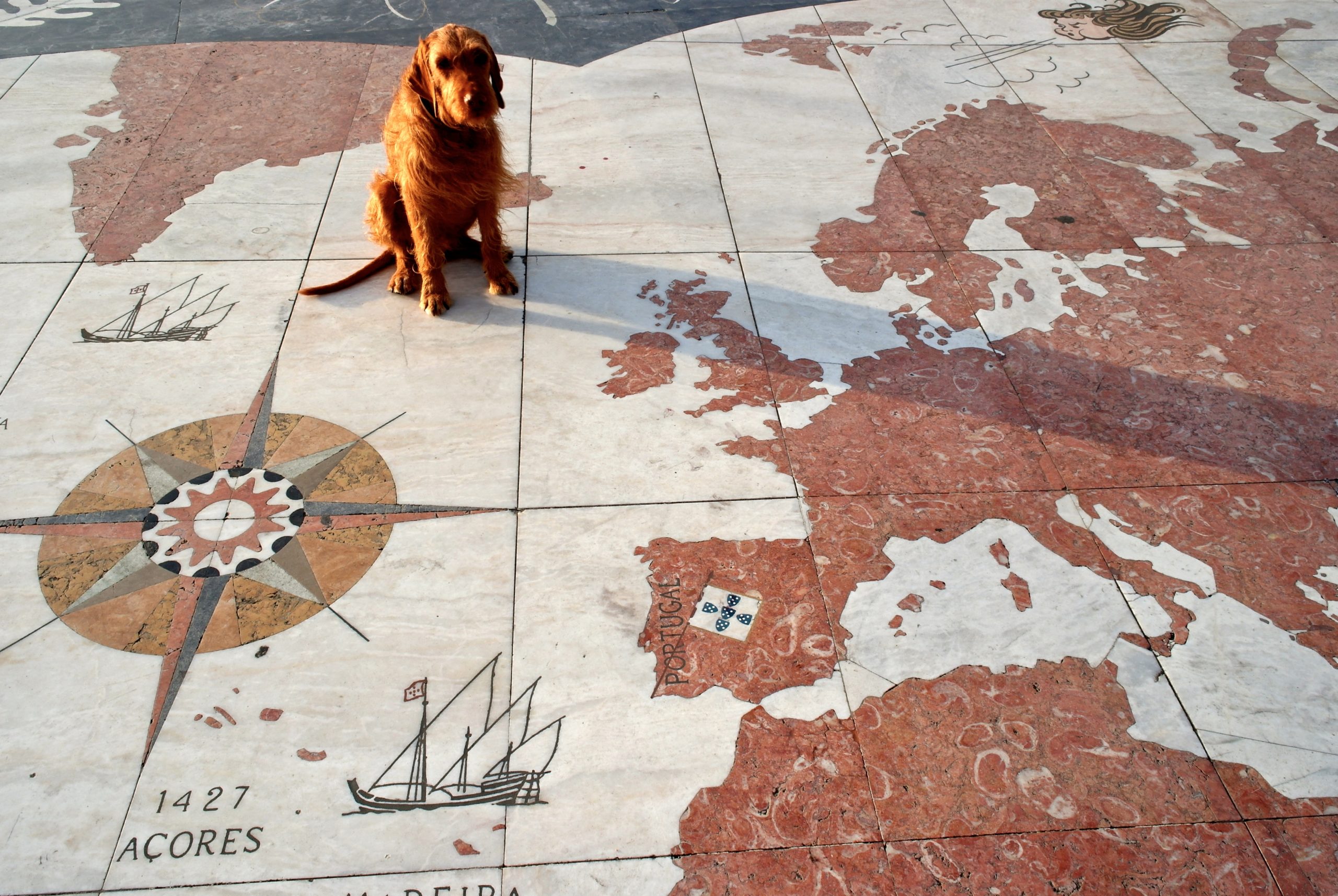 Startfoto Tier- und Reiseblog