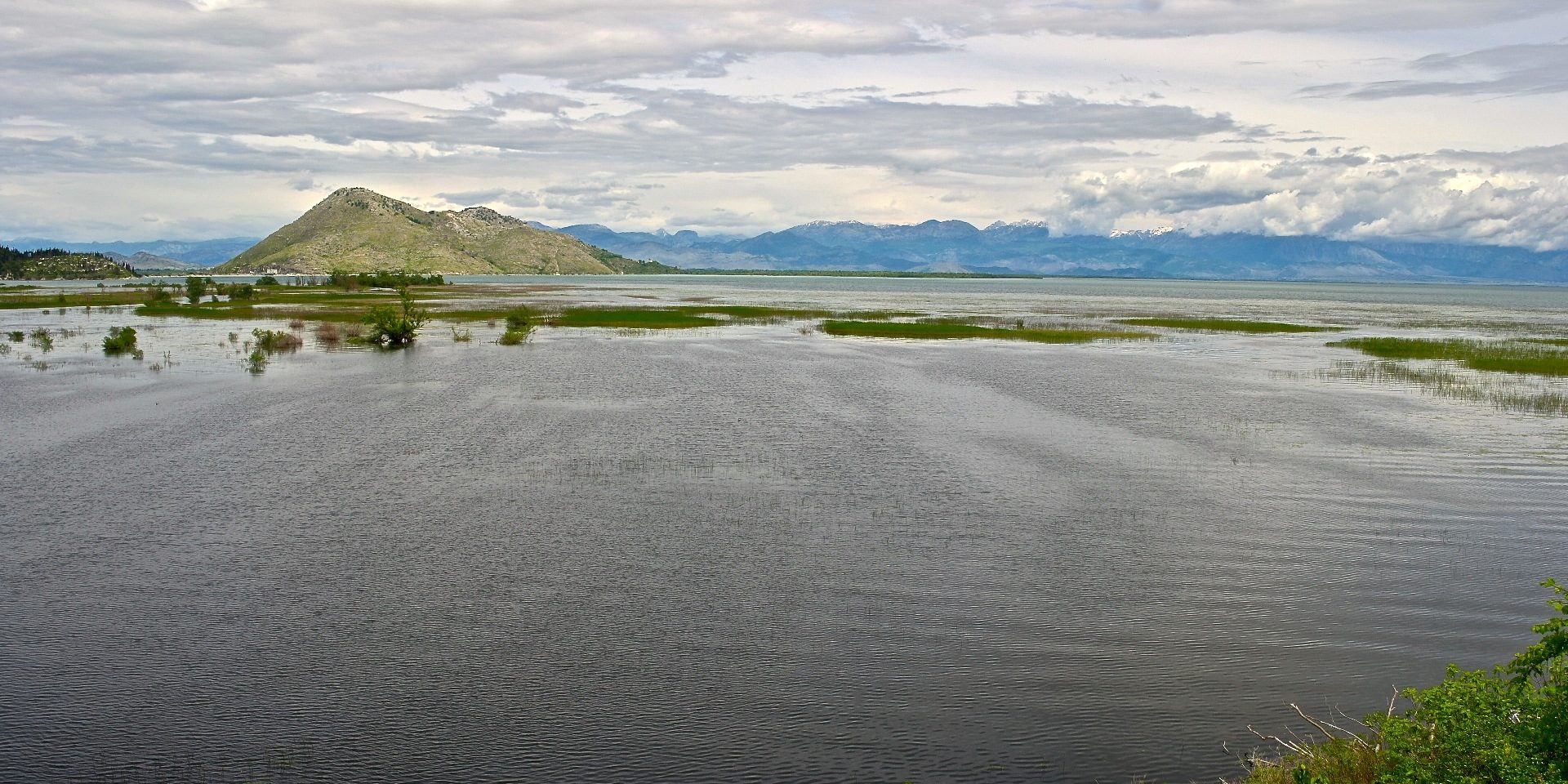 Vogelrefugium Skutarisee Nationalpark Skutarisee