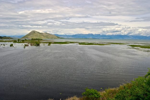 Vogelrefugium Skutarisee Nationalpark Skutarisee