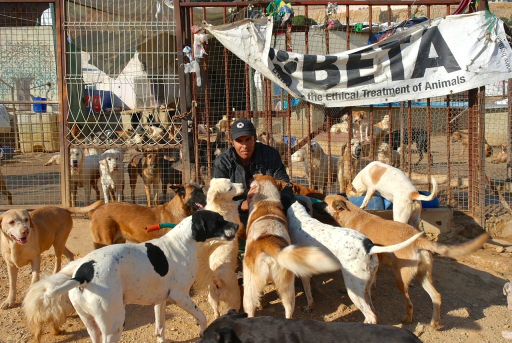 Tierpfleger Kumar mit Hunden vor der Auffangstation