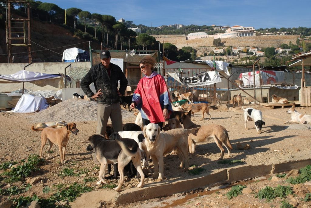 Helfer vor der der Hundeauffangstation in Beirut