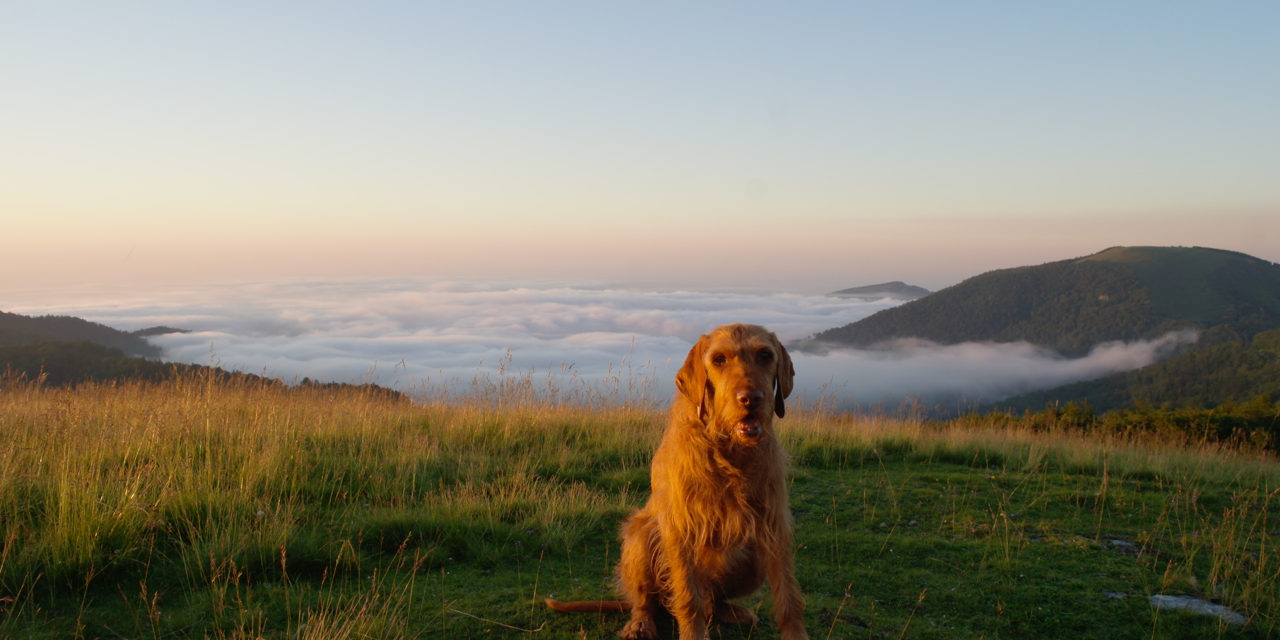 Alles wieder ruhig. Nach der Tour de France hat Yeti die Berge wieder für sich Ruhe nach dem Sturm