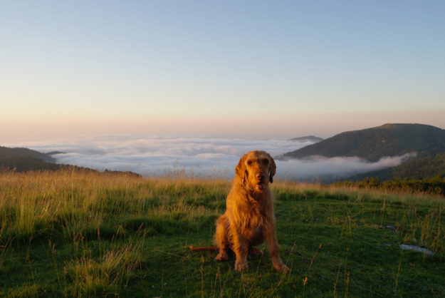 Alles wieder ruhig. Nach der Tour de France hat Yeti die Berge wieder für sich Ruhe nach dem Sturm
