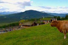 Was für eine Aussicht! – Glittersjå Fjellgard Aussicht von Glittersjå Fjellgard