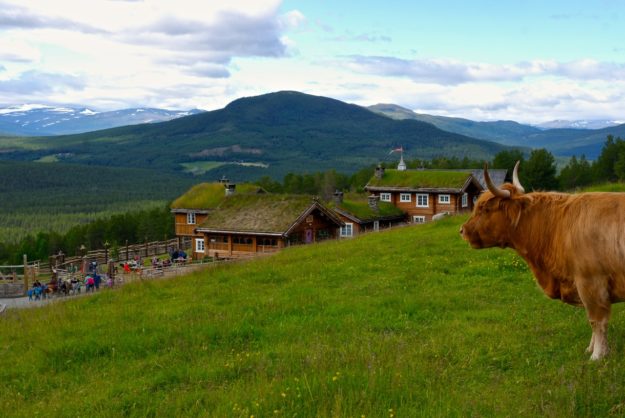 Was für eine Aussicht! – Glittersjå Fjellgard Aussicht von Glittersjå Fjellgard