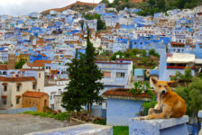 Streuner auf der Mauer von Chefchaouen
