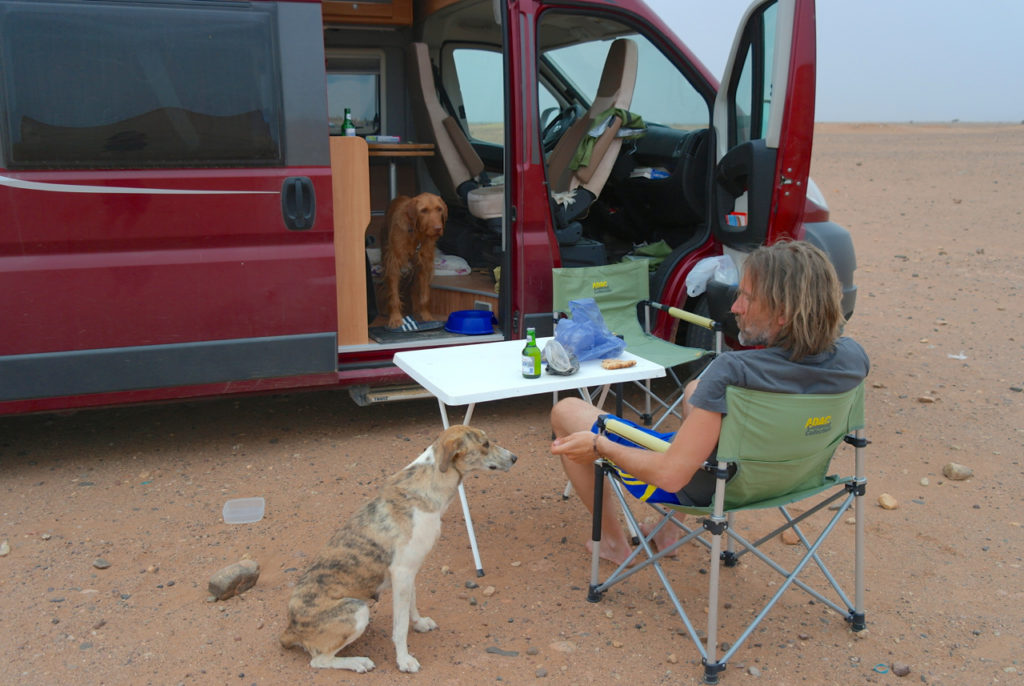 Streunerhündin kommt zum Camper - Streunerhunde in Marokko