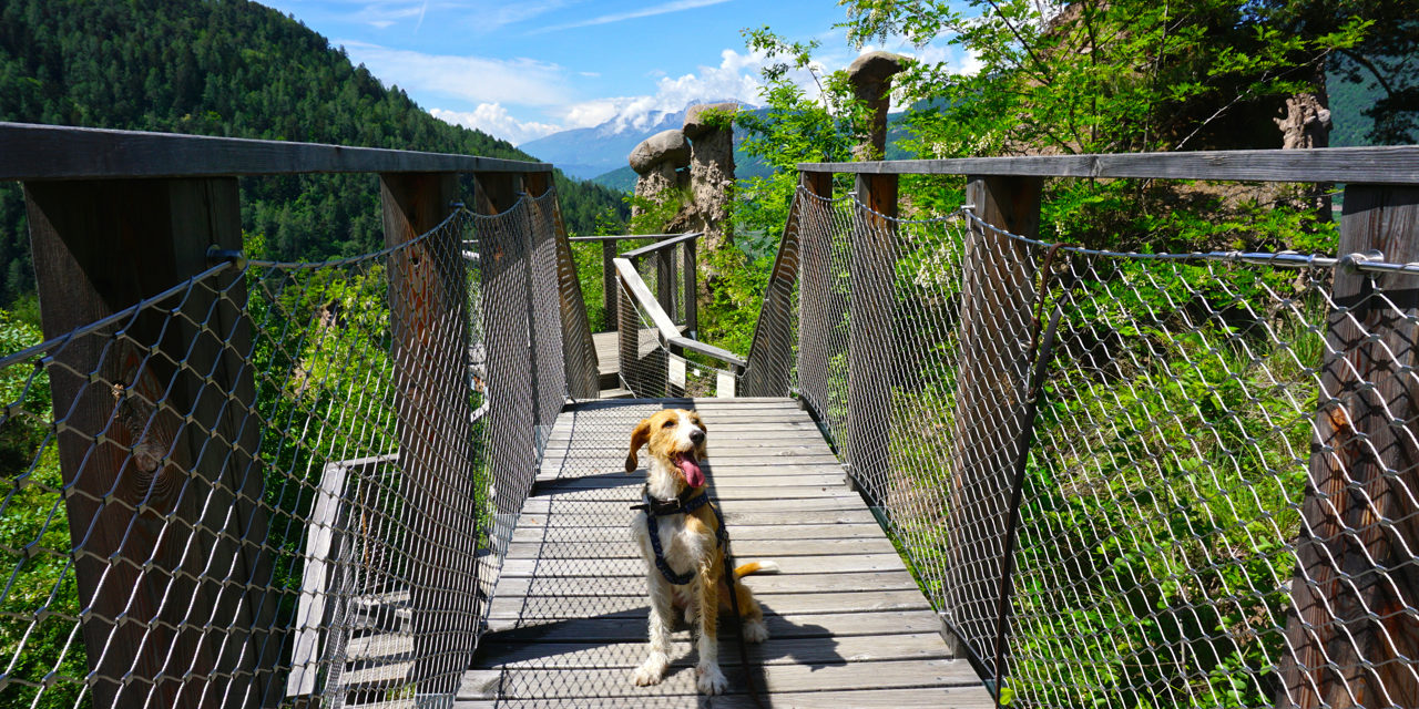 Aussichtsplattform Pyramidi de Segonzano – tierisch-in-fahrt.de