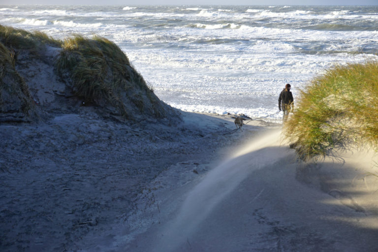 Mit Hund im Ferienhaus in Dänemark /// Dänische Nordseeküste