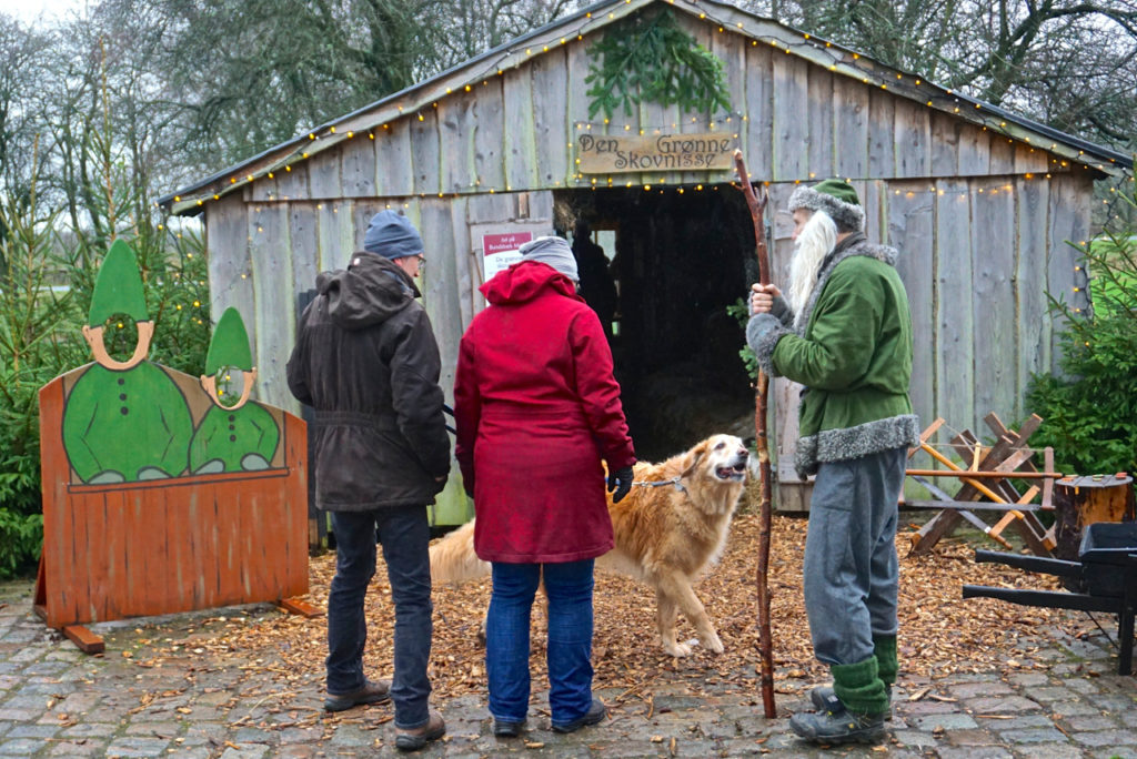 Dänemark mit Hund:Hund trifft Weihnachtself in Dänemark