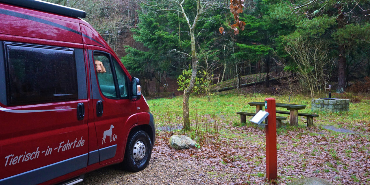 Parkplatz Hundewald - Dänemark mit Hund
