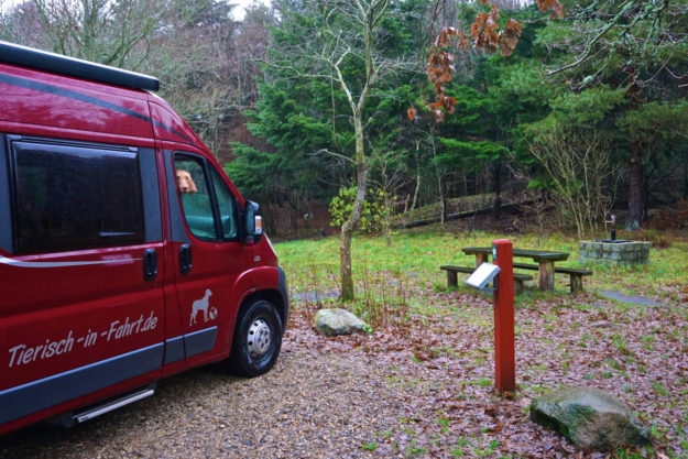 Parkplatz Hundewald - Dänemark mit Hund