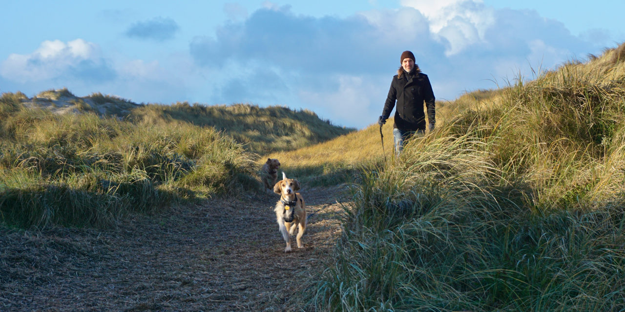 Weg zum Strand am Lyngvig Fyr