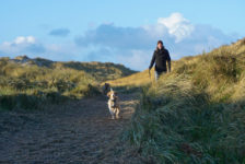 Weg zum Strand am Lyngvig Fyr