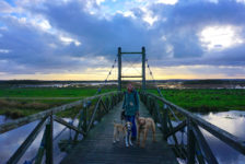 König Hans Brücke Skjern