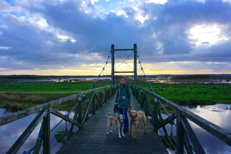 König Hans Brücke Skjern