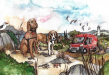 Tierisch-in-Fahrt-Zeichnung von Kiki Kalahari