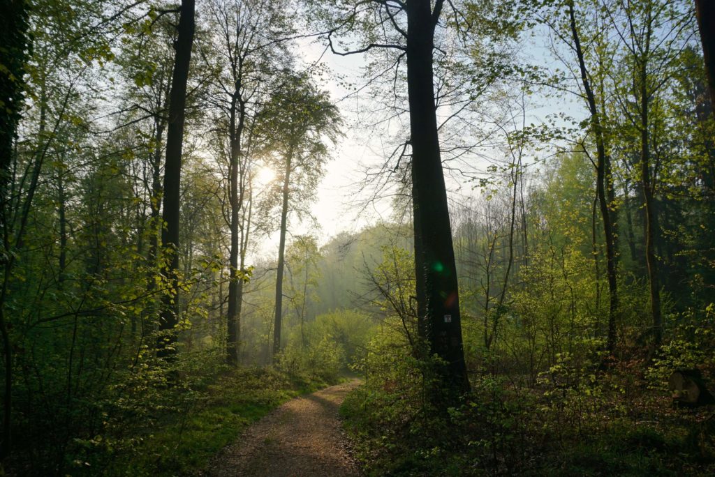 Der Teutoburger Wald mit Naturpark terra.vita