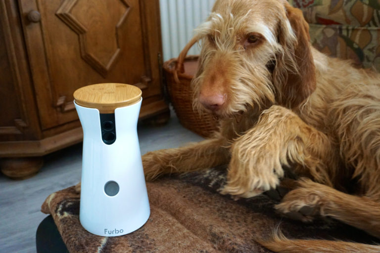 János testet die Hundekamera von Furbo