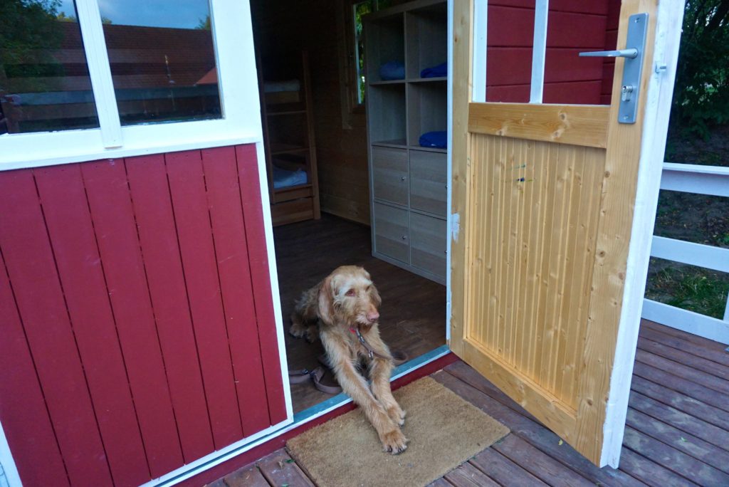 Hund in Hütte, Arche Warder, tierisch-in-fahrt.de