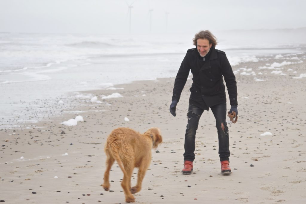 Hundeurlaub am Strand_tierisch-in-fahrt.de