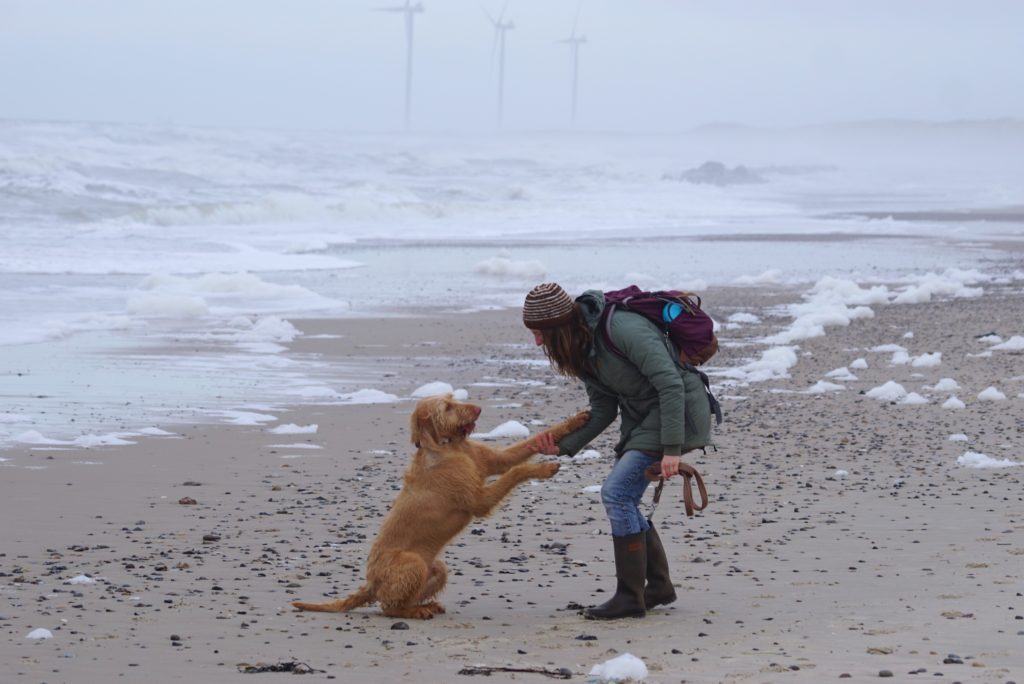 Mensch und Hund am Strand_tierisch-in-fahrt.de