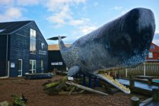 Besonderes Erlebnis mit Hund – Ein Besuch im Jyllands AKvariet Thyboron Wal vor dem Aquarium in Thyboron_tierisch-in-fahrt.de