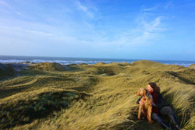 Da flattern die Ohren, da wehen die Haare – Naturerlebnis Dänemark Herrliche Aussichten in der Dünenwelt Westjütlands_tierisch-in-fahrt.de