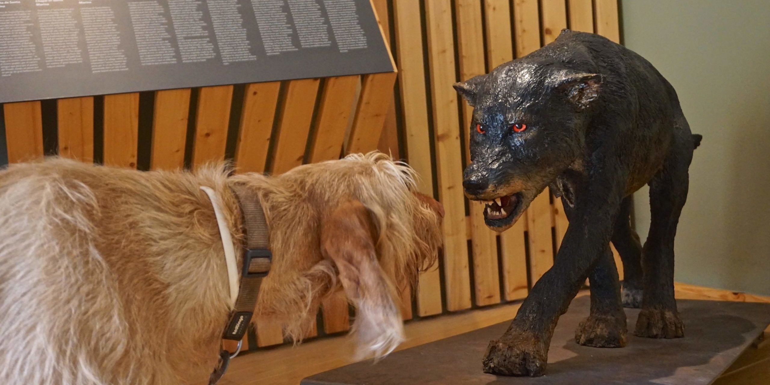 János trifft die Dips – Abenteuer Katalonien Mit Hund durch Katalonien_tierisch-in-fahrt.de