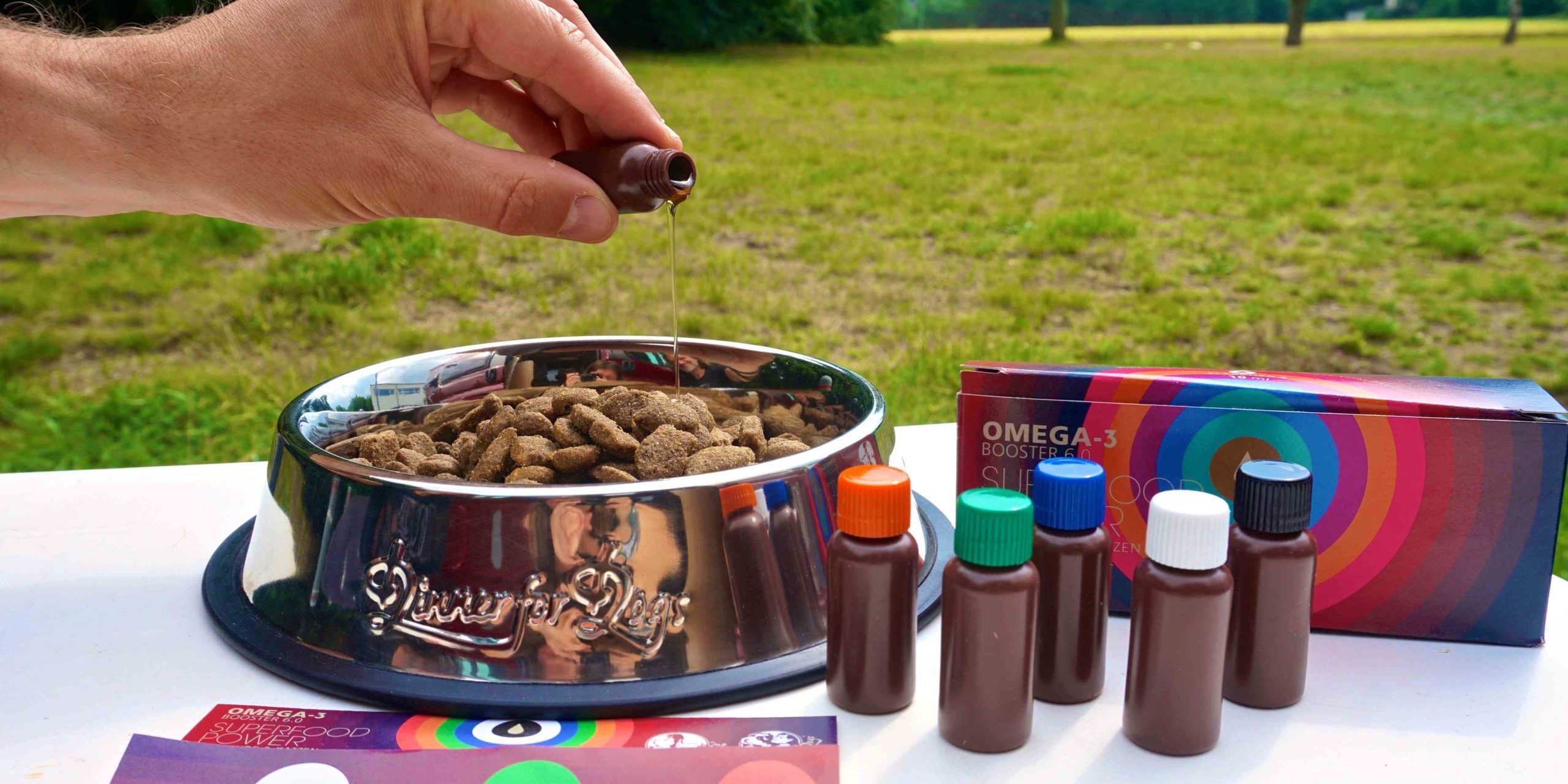 Superfood für Hunde – der Test