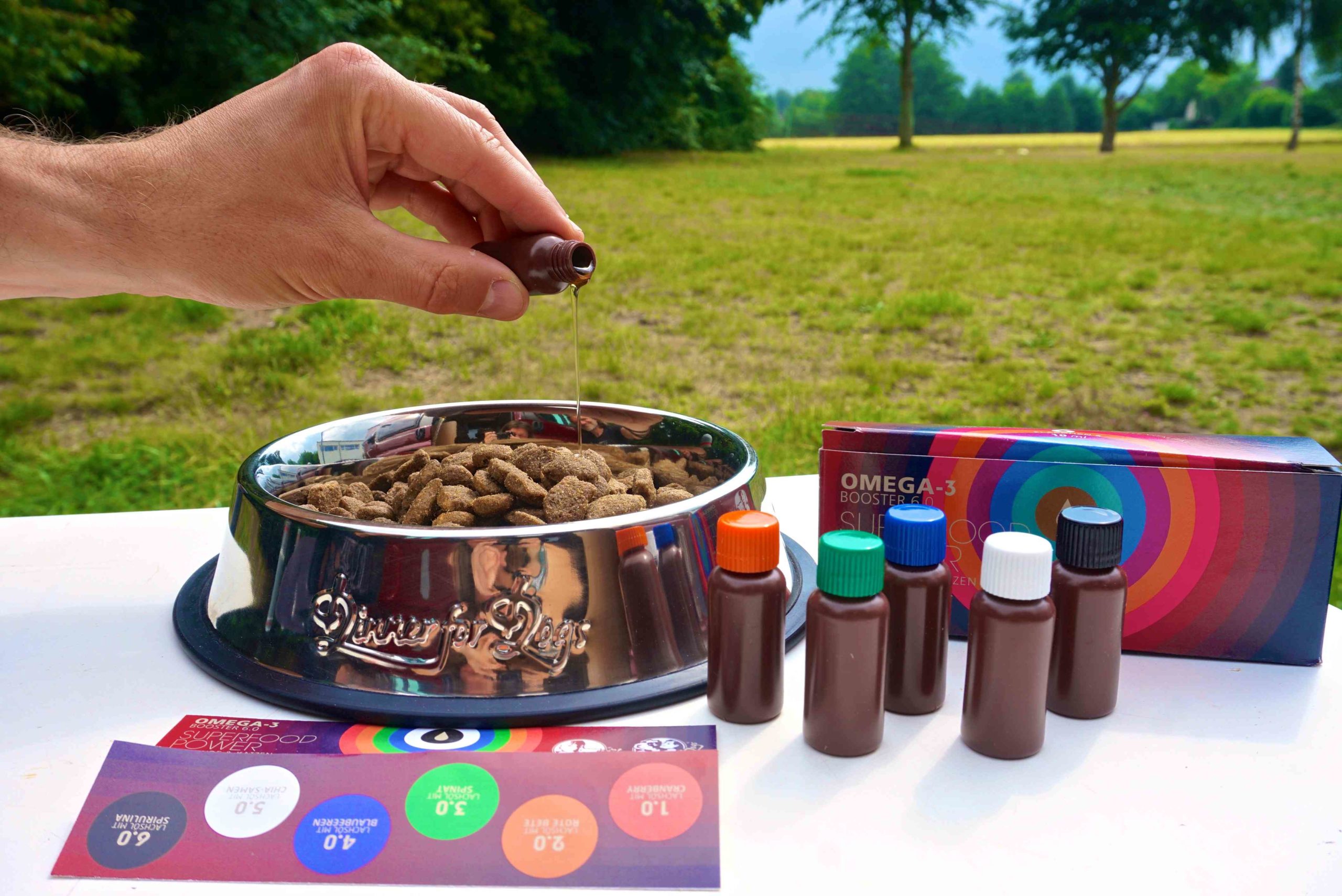 Superfood für Hunde – der Test