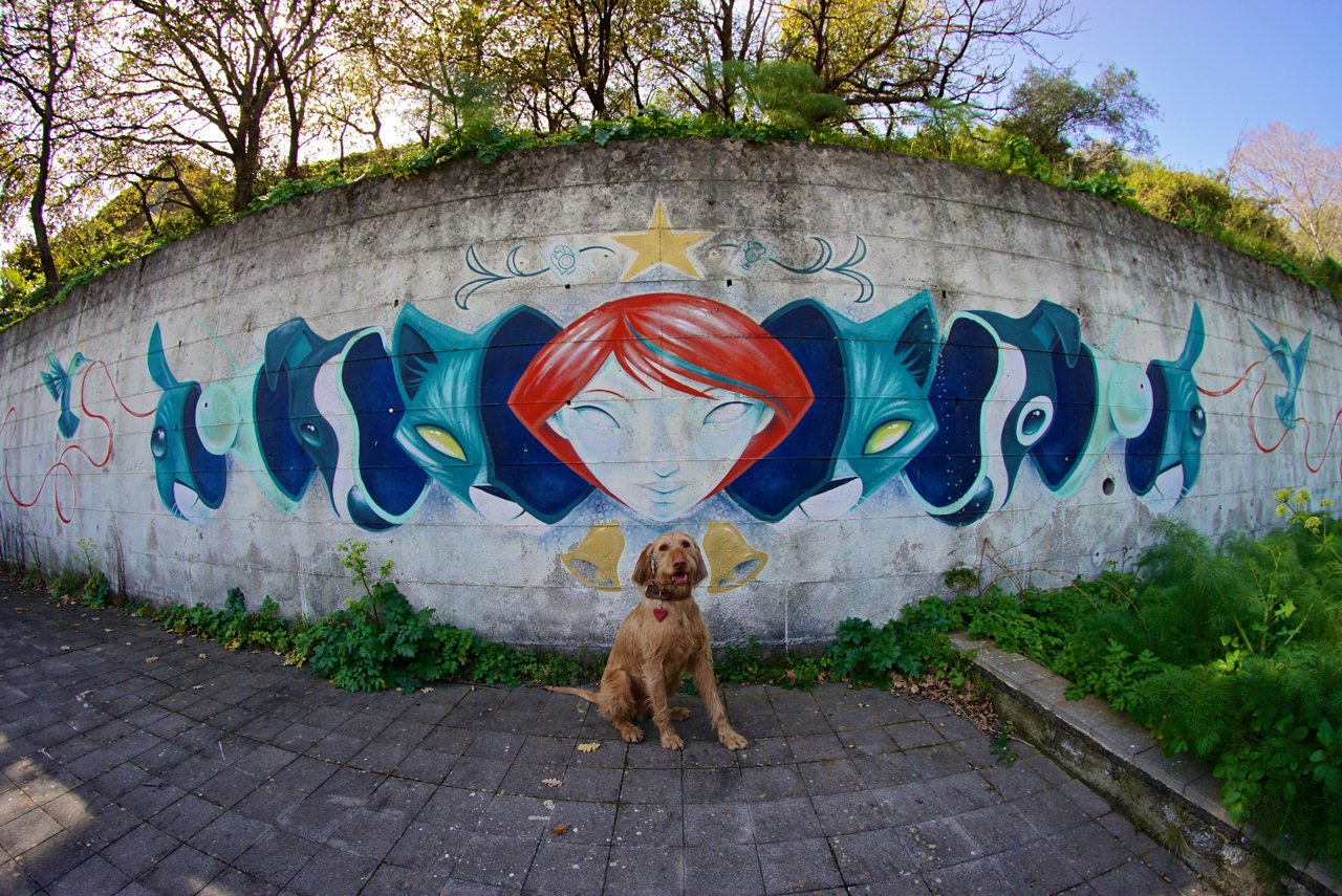 Graniti Murales Art Walk_Jenn Brisson_tierisch-in-fahrt.de Jenn Brisson_Graniti Murales_Insider Tipp Sizilien
