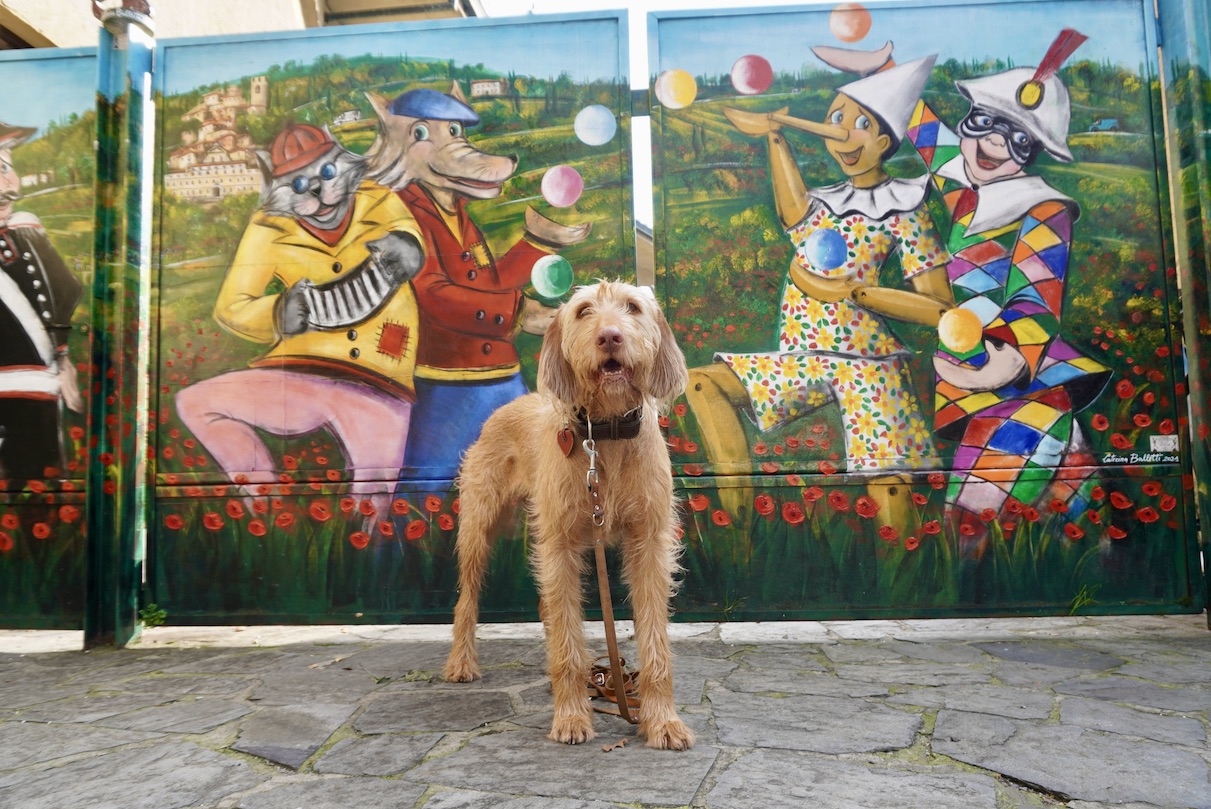 Toskana mit Hund_tierisch-in-fahrt.de