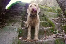 János auf den Spuren der Etrusker, Piramide etrusca, tierisch-in-fahrt.de