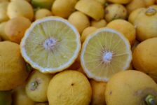 Bergamotte_tierisch-in-fahrt.de