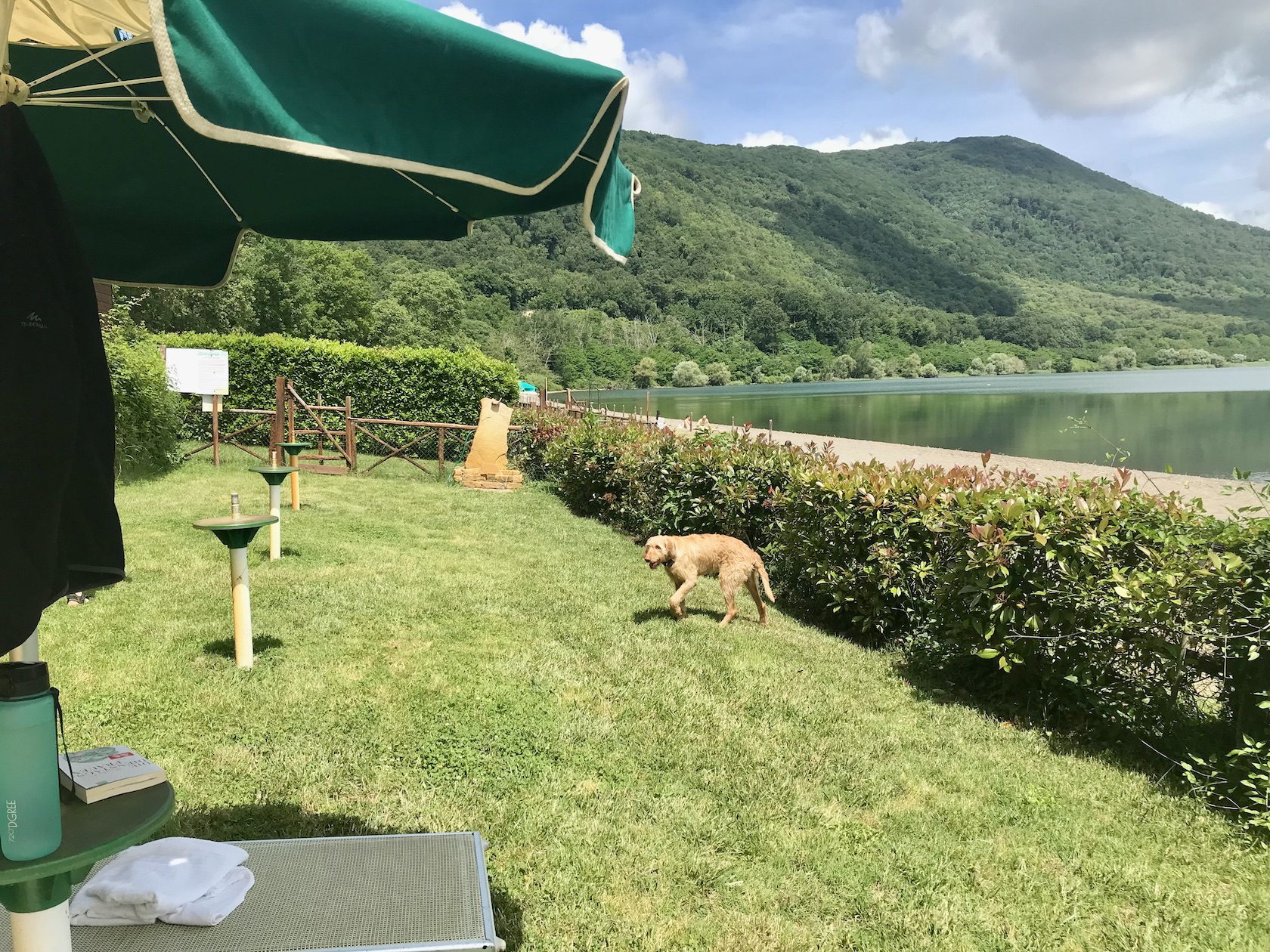 Hund am Hundestrand Lago di Vico