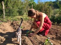 Gartenarbeit mit Katze