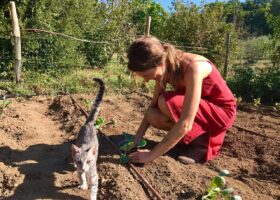 Gartenarbeit mit Katze