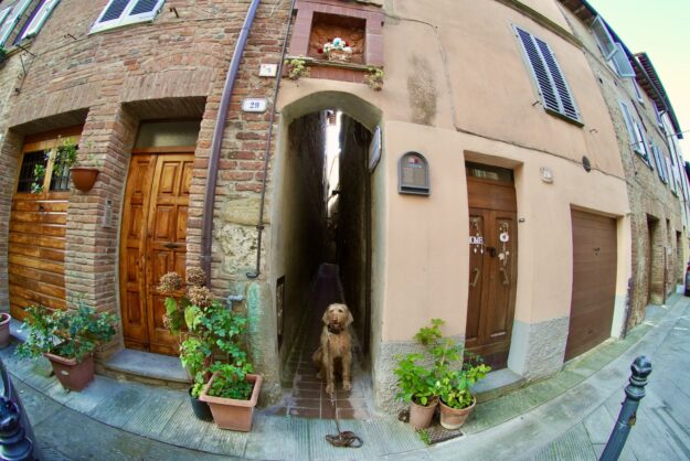 Hund in der kleinsten Gasse Italiens, Umbrien, Città della Pieve, @tierisch-in-fahrt.de