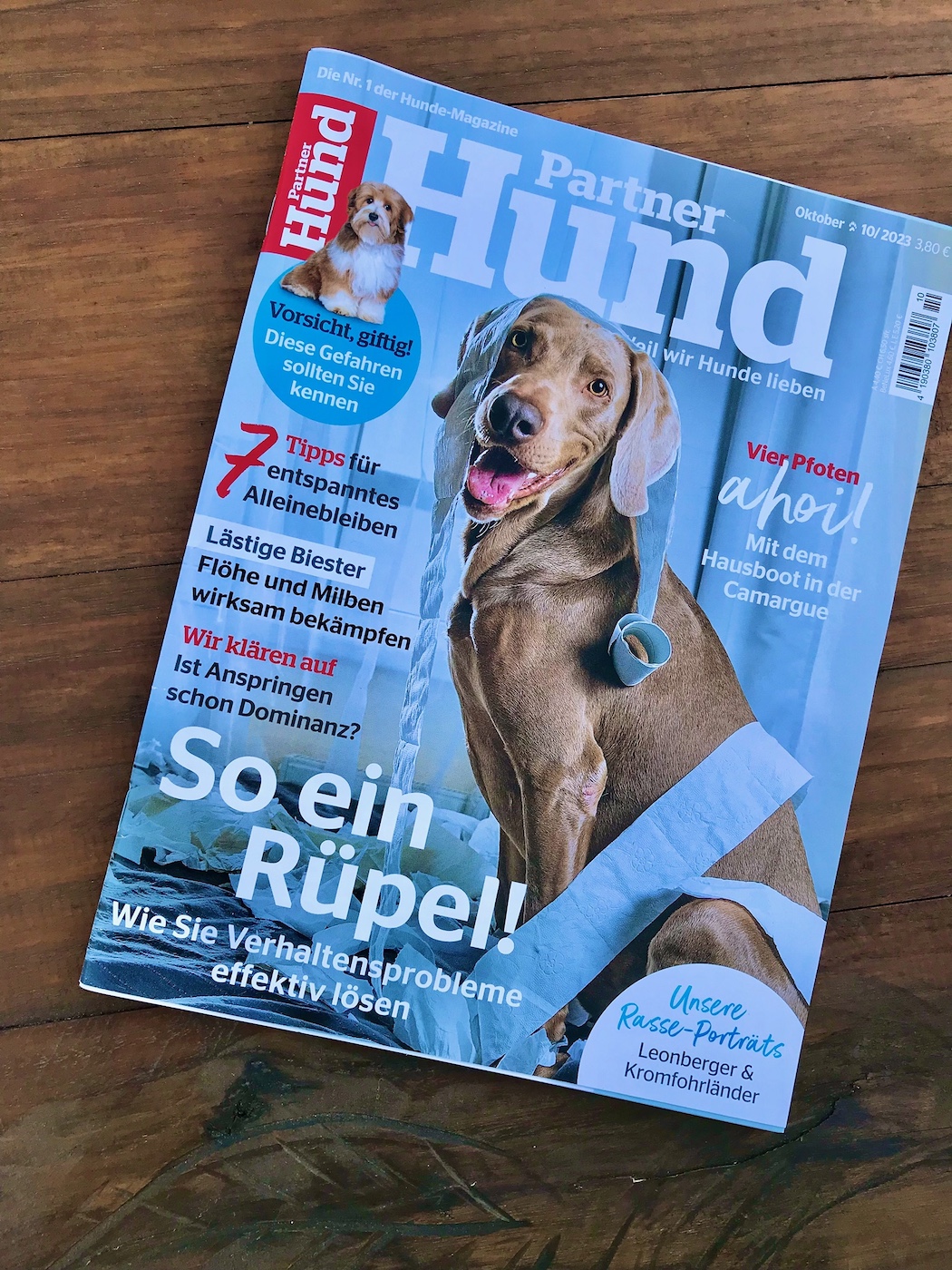 Hundemagazin mit Trüffel-Report, @tierisch-in-fahrt.de
