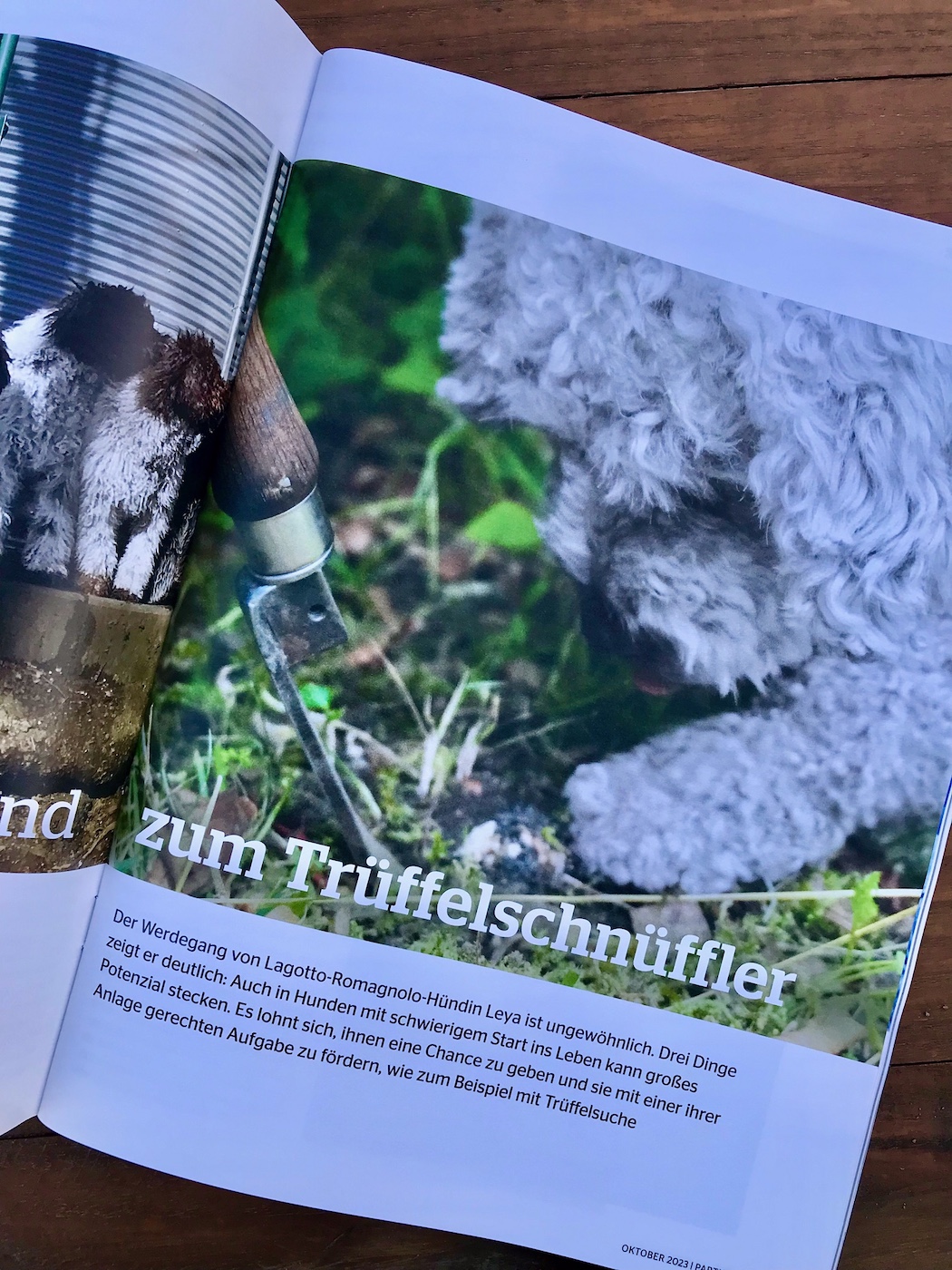 Trüffel-Report im Hundejournal, @teirisch-in-fahrt.de