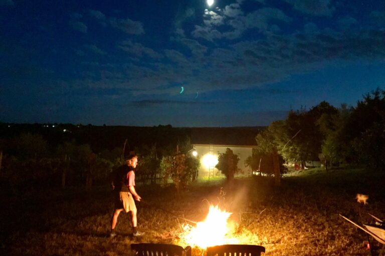 Esskastanien rösten über dem Feuer, @tierisch-in.fahrt.de