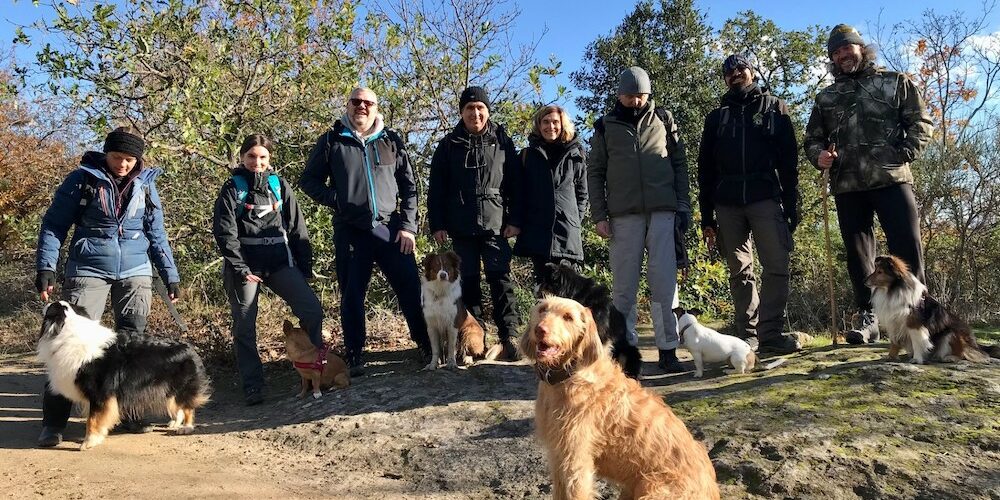 Dogs at work Roma a Bomarzo, @tierisch-in-fahrt.de