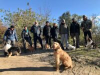 Dogs at work Roma a Bomarzo, @tierisch-in-fahrt.de