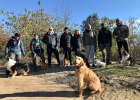 Dogs at work Roma a Bomarzo, @tierisch-in-fahrt.de