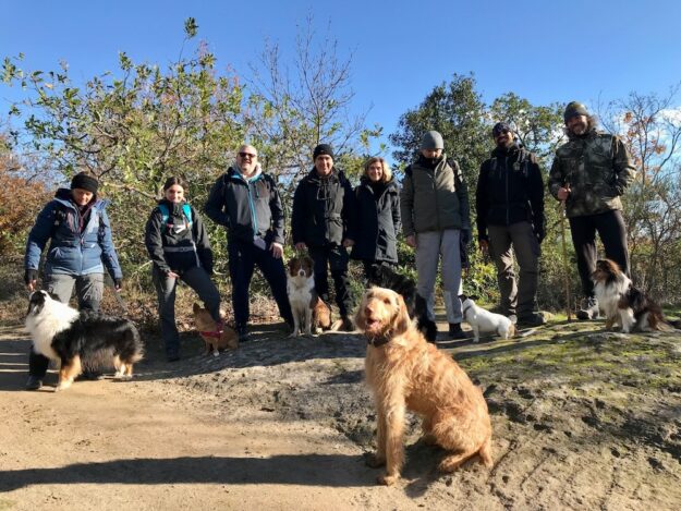 Dogs at work Roma a Bomarzo, @tierisch-in-fahrt.de