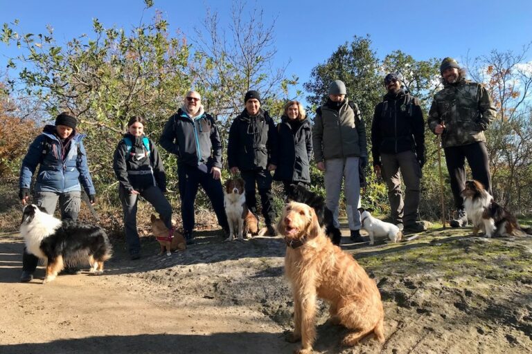 Dogs at work Roma a Bomarzo, @tierisch-in-fahrt.de