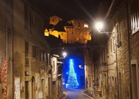 Weihnachtsbaum Bomarzo, Albero natale, @tierisch-in-fahrt.de